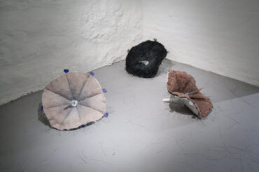 ASLAUG JULIUSSEN – Re: Frozen Flowers & long time blooms