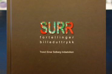 Indsetviken: Surr