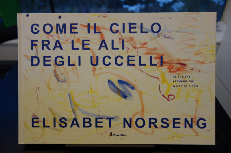Norseng Come Il Cielo Fra Le Ali Degli Uccelli Kunstbanken Senter norseng-come-il-cielo-fra-le-ali-degli-uccelli-kunstbanken-senter