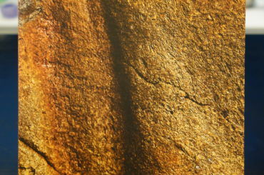 Sejersted Bødtker: Fragment