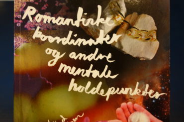 Roterud Amundsen: Romantiske koordinater
