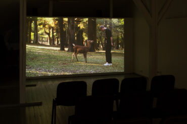 ENDRE AALRUST – Dear Deer