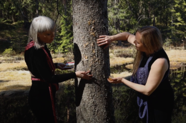 Finissage og performance