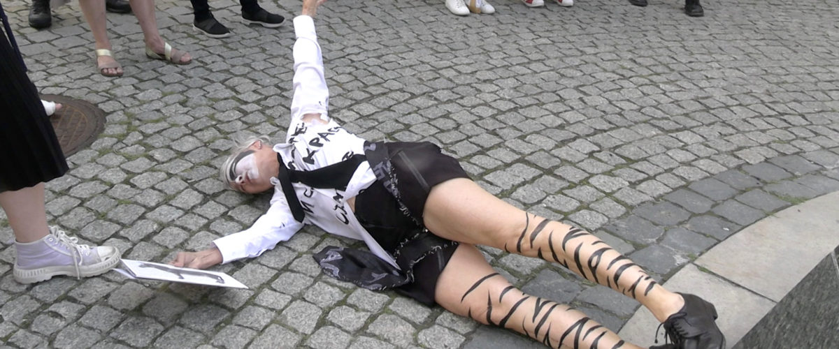 DOROTHEA RUST – Are we all donkey? – the working of a survival kit