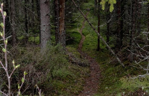 Jälkiä meistä – våre spor