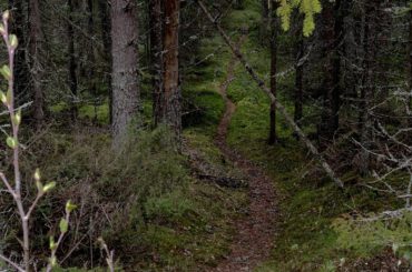 Jälkiä meistä – våre spor