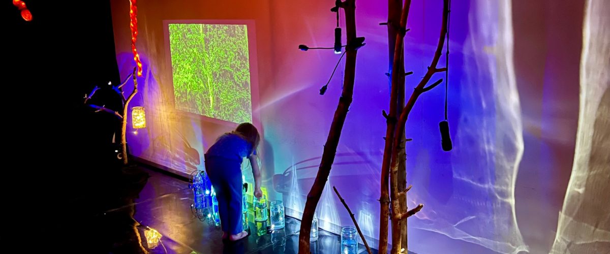 HEIDI TRONSMO og GLENN ERIK HAUGLAND – Lavskrikemeditasjoner